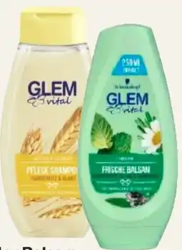 MPreis Glem Vital Shampoo Angebot