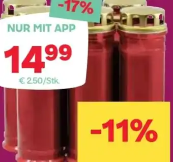 MPreis Grabkerzen-Sortiment Angebot