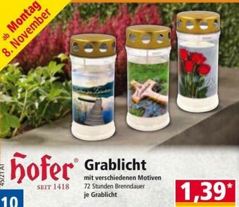 Norma Grablicht Angebot