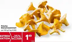 Billa Frische Eierschwammerl 100g Angebot