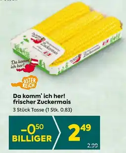 Billa Da komm' ich her! frischer Zuckermais Angebot