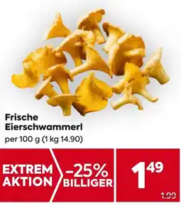 Billa Frische Eierschwammerl 100g Angebot