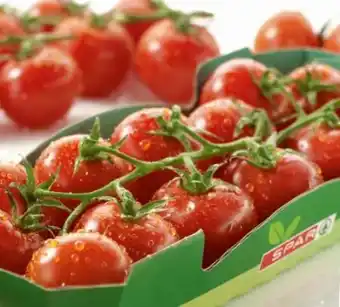 Spar Midi-Rispentomaten Angebot