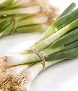 Spar Würziger Jungzwiebel Angebot