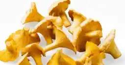Billa Eierschwammerl Angebot