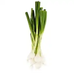 Billa Jungzwiebel Angebot