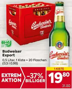 Billa Budweiser Export 0.5 Liter Angebot