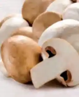 Hofer Champignons Angebot