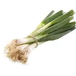 Spar würziger Jungzwiebel SPAR 1 Bund Angebot