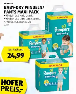 Hofer PAMPERS BABY-DRY WINDELN/ PANTS MAXI PACK Angebot