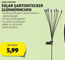 Hofer SOLAR GARTENSTECKER GLÜHWÜRMCHEN Angebot