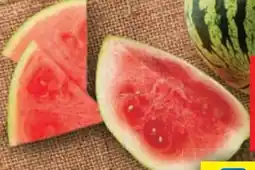 Lidl Wassermelone Angebot