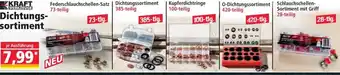 Norma Dichtungssortiment Angebot