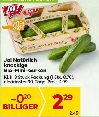 Billa Ja! Natürlich knackige Bio-Mini-Gurken Angebot