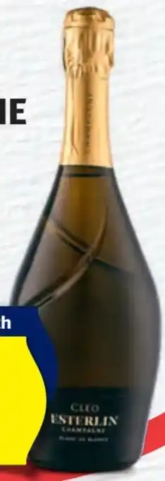 Hofer Champagner Esterlin Angebot