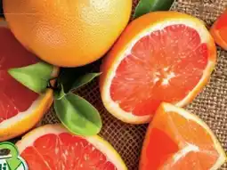 Lidl Grapefruit Angebot