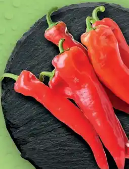 Lidl Spitzpaprika Angebot