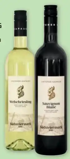 PENNY Sauvignon Blanc Angebot