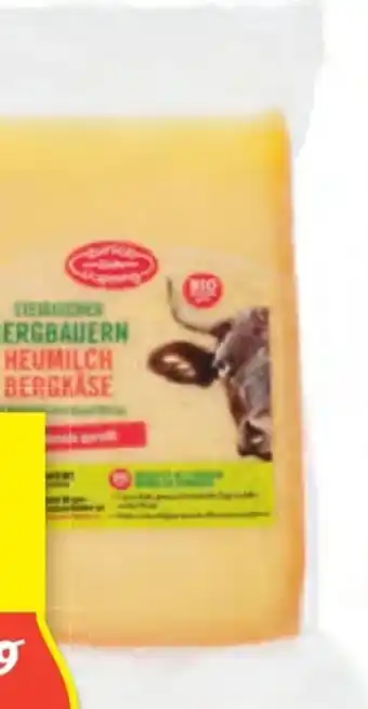 Hofer Bio-Bergkäse Angebot