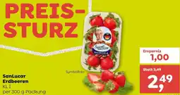 ADEG SanLucar Erdbeeren 300g Angebot