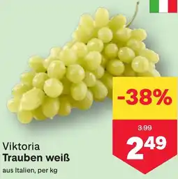 MPreis Viktoria Trauben weiß Angebot