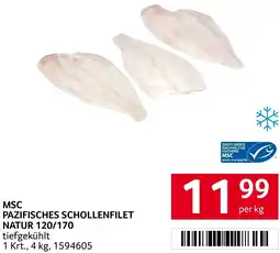 Transgourmet MSC PAZIFISCHES SCHOLLENFILET NATUR 120/170 Angebot