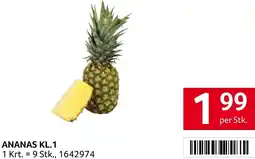Transgourmet ANANAS Angebot