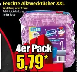 Norma Feuchte Allzwecktücher XXL Angebot