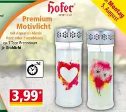 Norma Premium Motivlicht Angebot