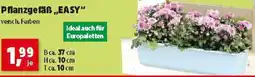 Thomas Philipps Pflanzgefäß EASY Angebot