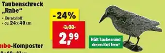 Thomas Philipps Taubenschreck Rabe Angebot