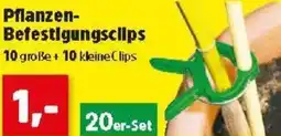Pflanzen- Befestigungsclips