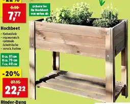 Thomas Philipps Hochbeet Angebot