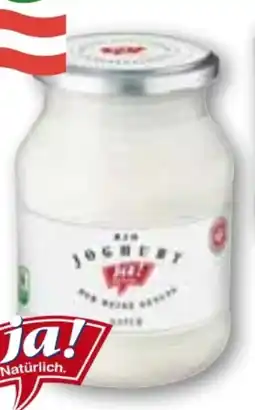 ADEG Bio Naturjoghurt Angebot