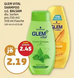 PENNY GLEM VITAL SHAMPOO od. BALSAM Angebot