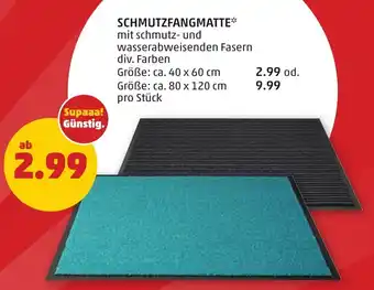 PENNY SCHMUTZFANGMATTE Angebot