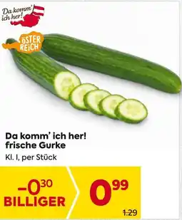 Billa frische Gurke Angebot