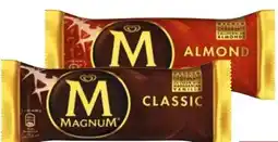 Transgourmet Magnum Angebot