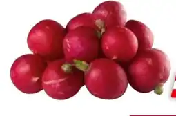 Transgourmet Snack Radieschen Angebot