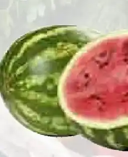T&G Wassermelone Angebot