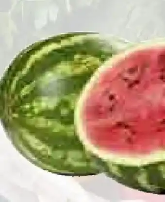 T&G Wassermelone Angebot