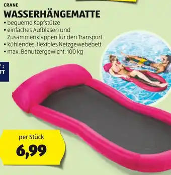 Hofer WASSERHÄNGEMATTE Angebot
