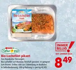 Interspar Bio-Lachsfilet pikant Angebot