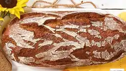 Spar Krustenbrot Angebot