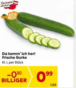Billa frische Gurke Angebot