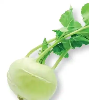 SPAR Gourmet Kohlrabi Angebot