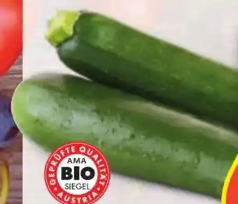 Hofer Bio-Zucchini Angebot