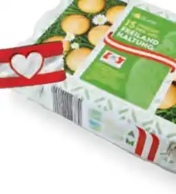 Hofer Eier Angebot
