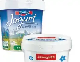 Metro Joghurt Angebot