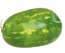 Metro Wassermelone Angebot